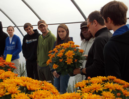 Horticulture students look at a pot of mums with their instructor